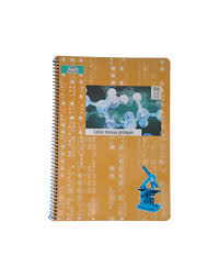 Cahier 96P GM 10*10 Sup SPEED